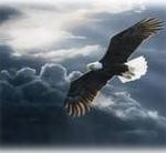 Eagles